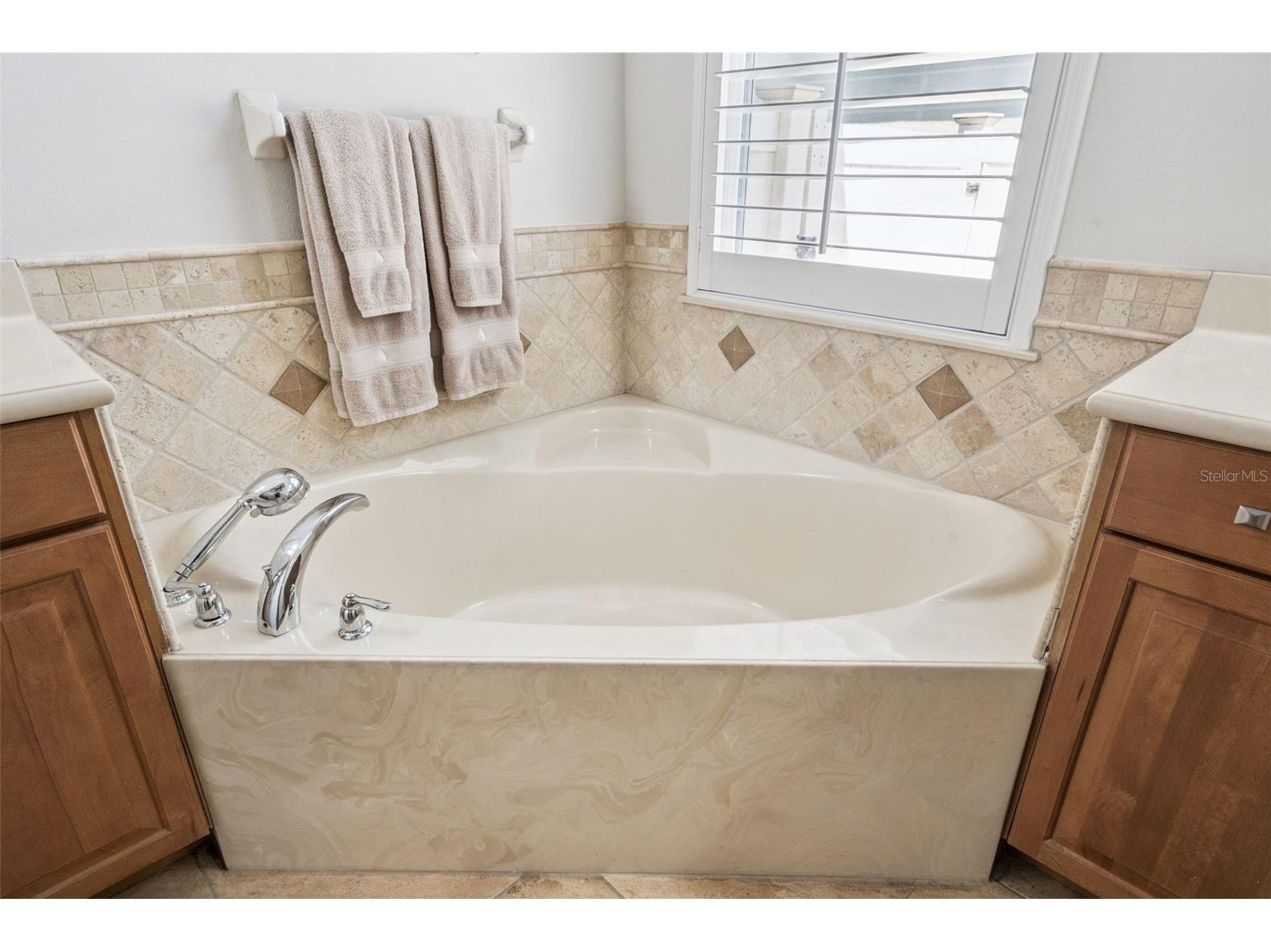 12529 Dallington Terrace Winter Garden FL 34787 O6400678 image36