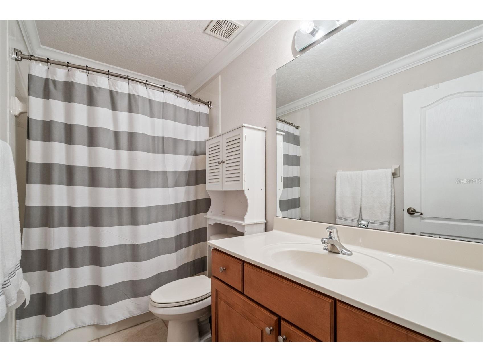 12529 Dallington Terrace Winter Garden FL 34787 O6400678 image44