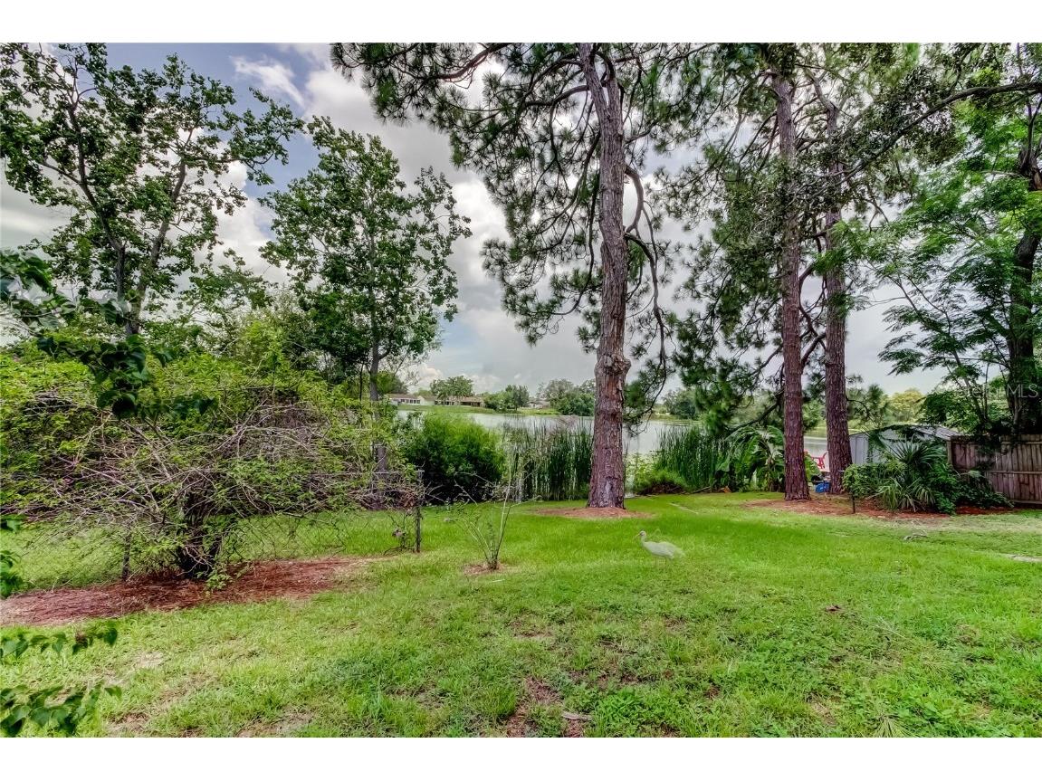 12529 Mondragon Drive Tampa FL 33625 TB8412509 image39