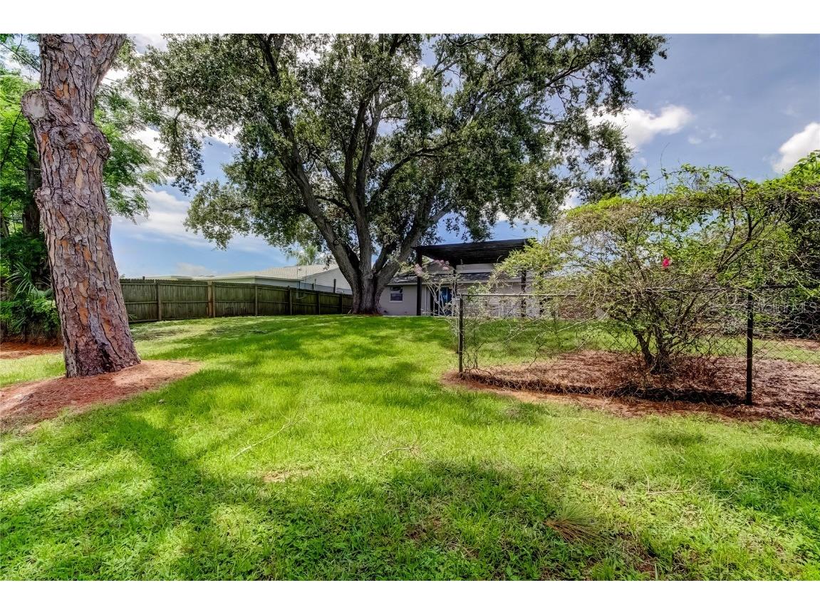 12529 Mondragon Drive Tampa FL 33625 TB8412509 image41