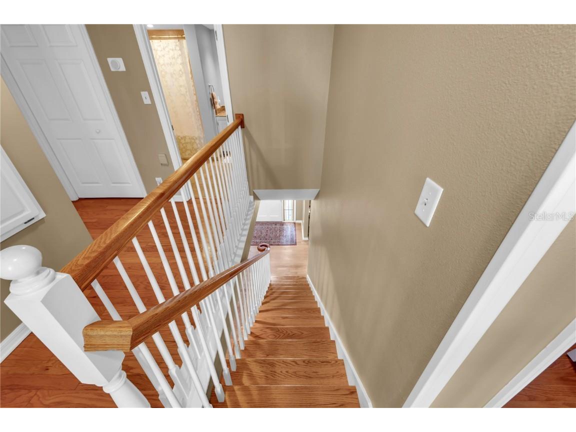 12529 Saint Charlotte Drive Tampa FL 33618 TB8451807 image37