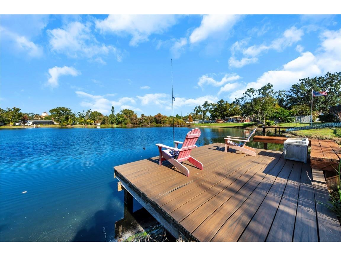 12529 Saint Charlotte Drive Tampa FL 33618 TB8451807 image45