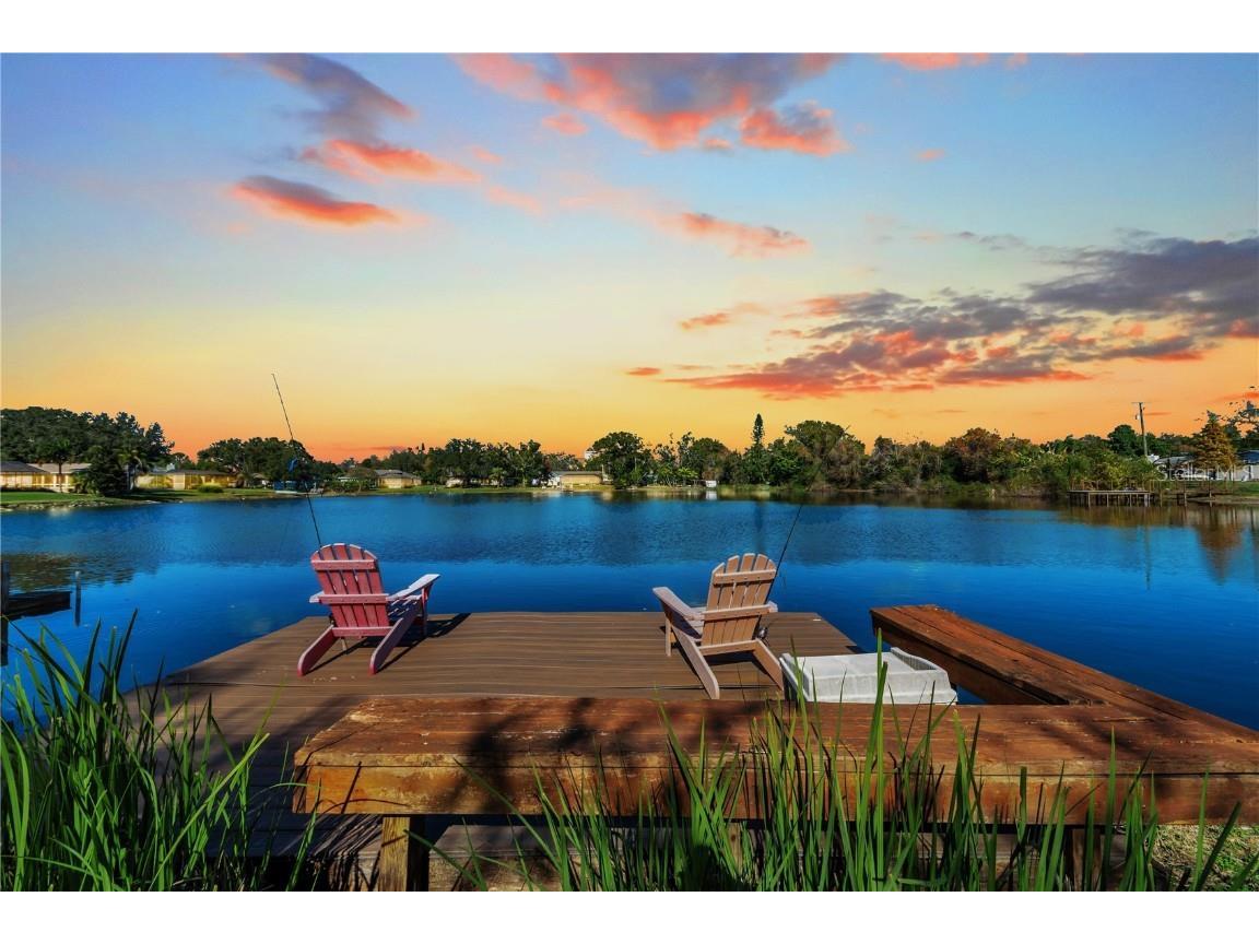 12529 Saint Charlotte Drive Tampa FL 33618 TB8451807 image5