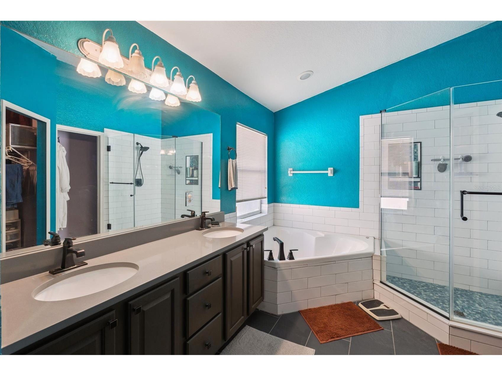 1253 Brandy Lake View Circle Winter Garden FL 34787 O6404570 image19