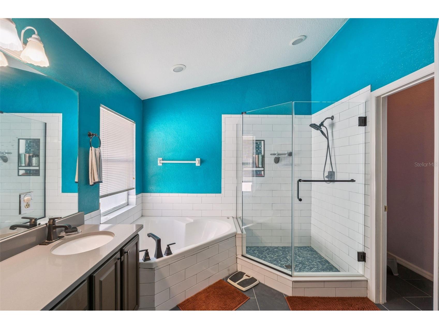 1253 Brandy Lake View Circle Winter Garden FL 34787 O6404570 image20