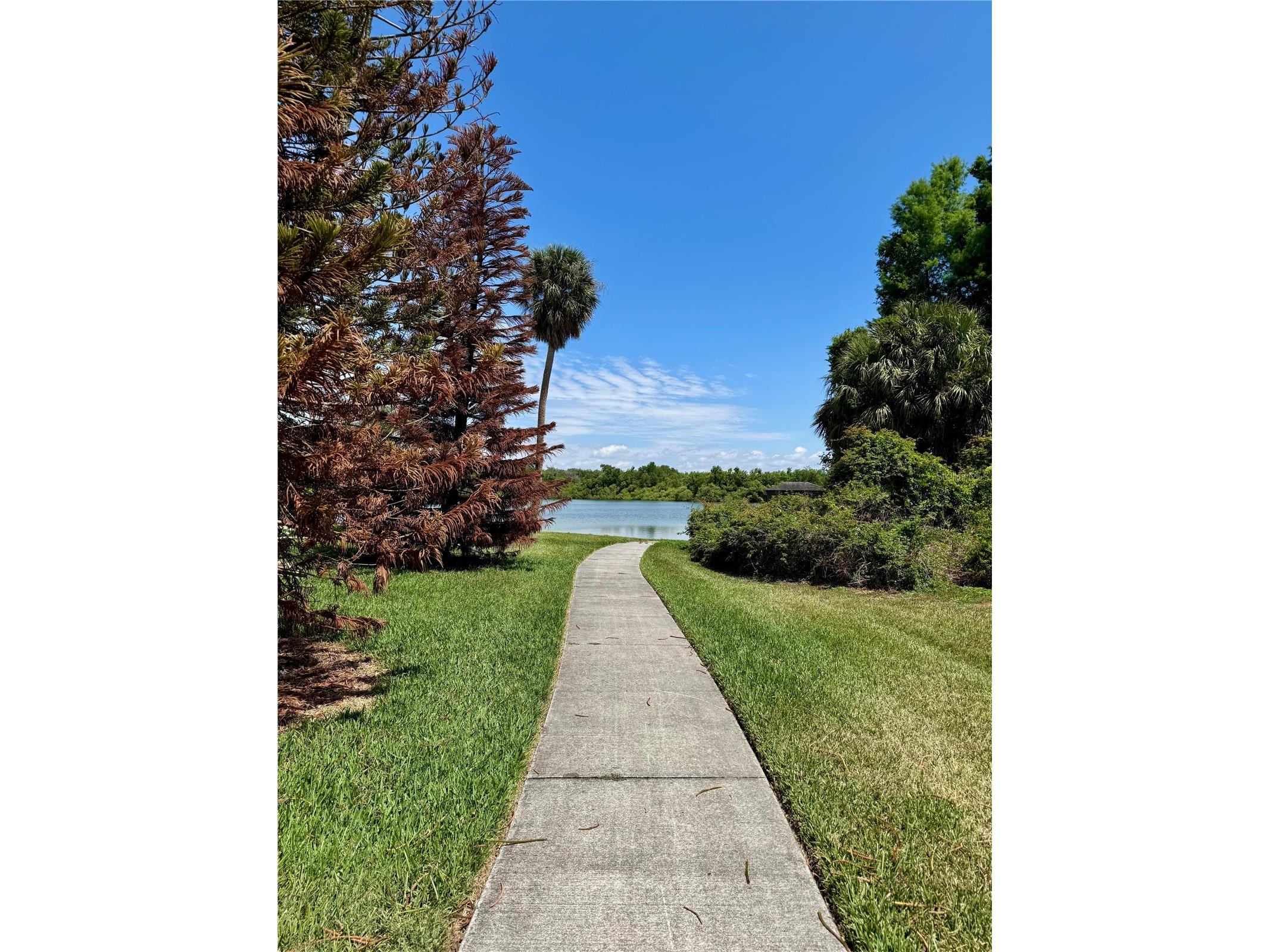 1253 Brandy Lake View Circle Winter Garden FL 34787 O6404570 image33