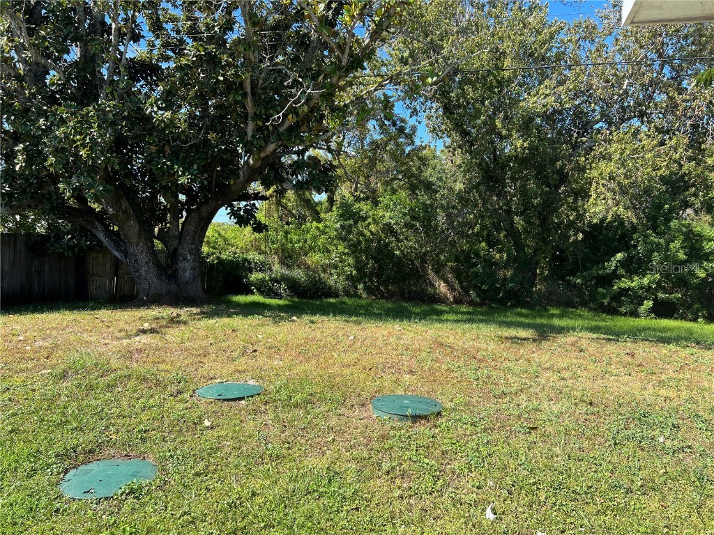 1253 Brightwell Drive Holiday FL 34690 W7879508 image14