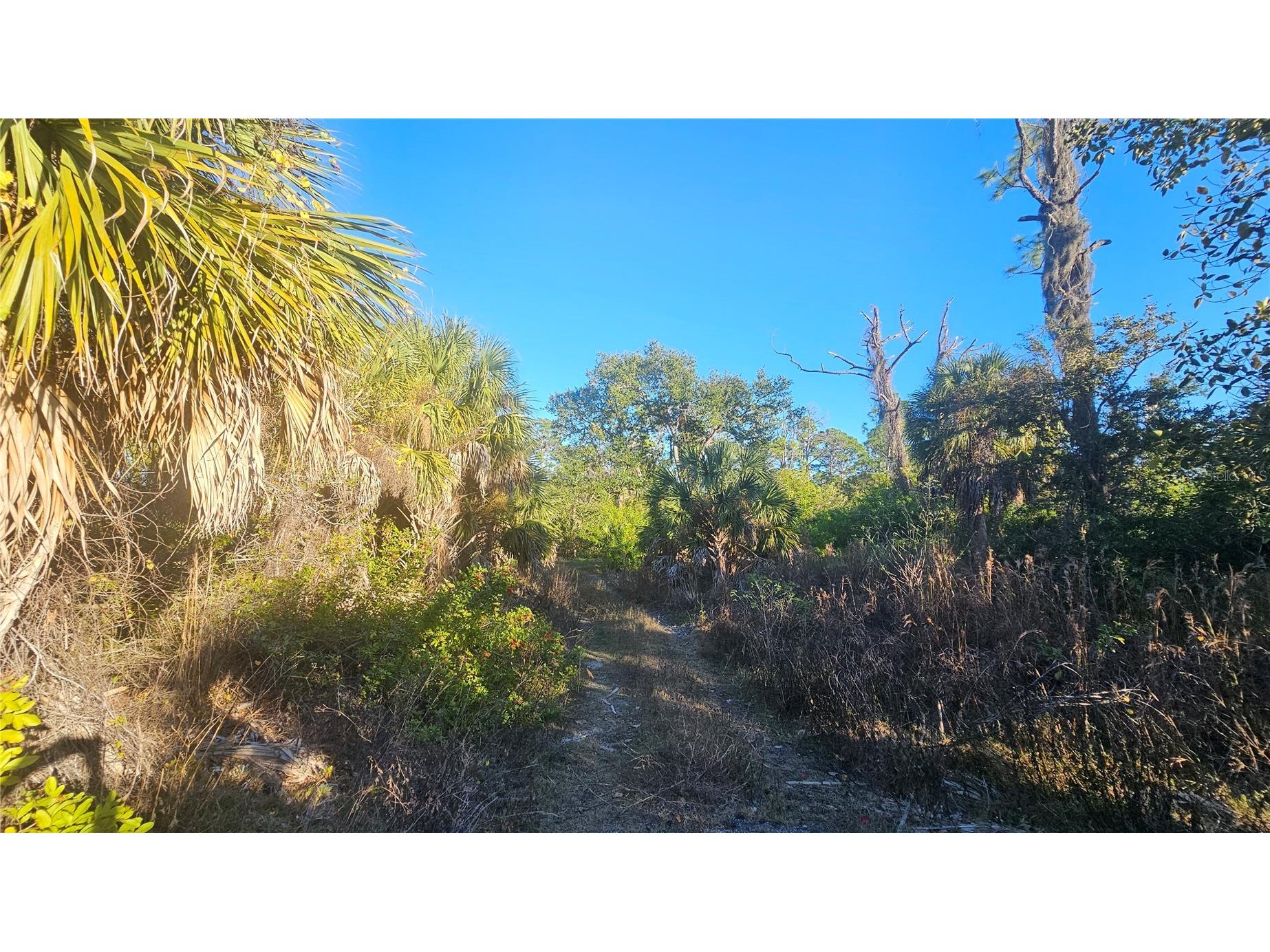 1253 Casper Street Port Charlotte FL 33953 - APOLLO WATERWAY A4676765 image14