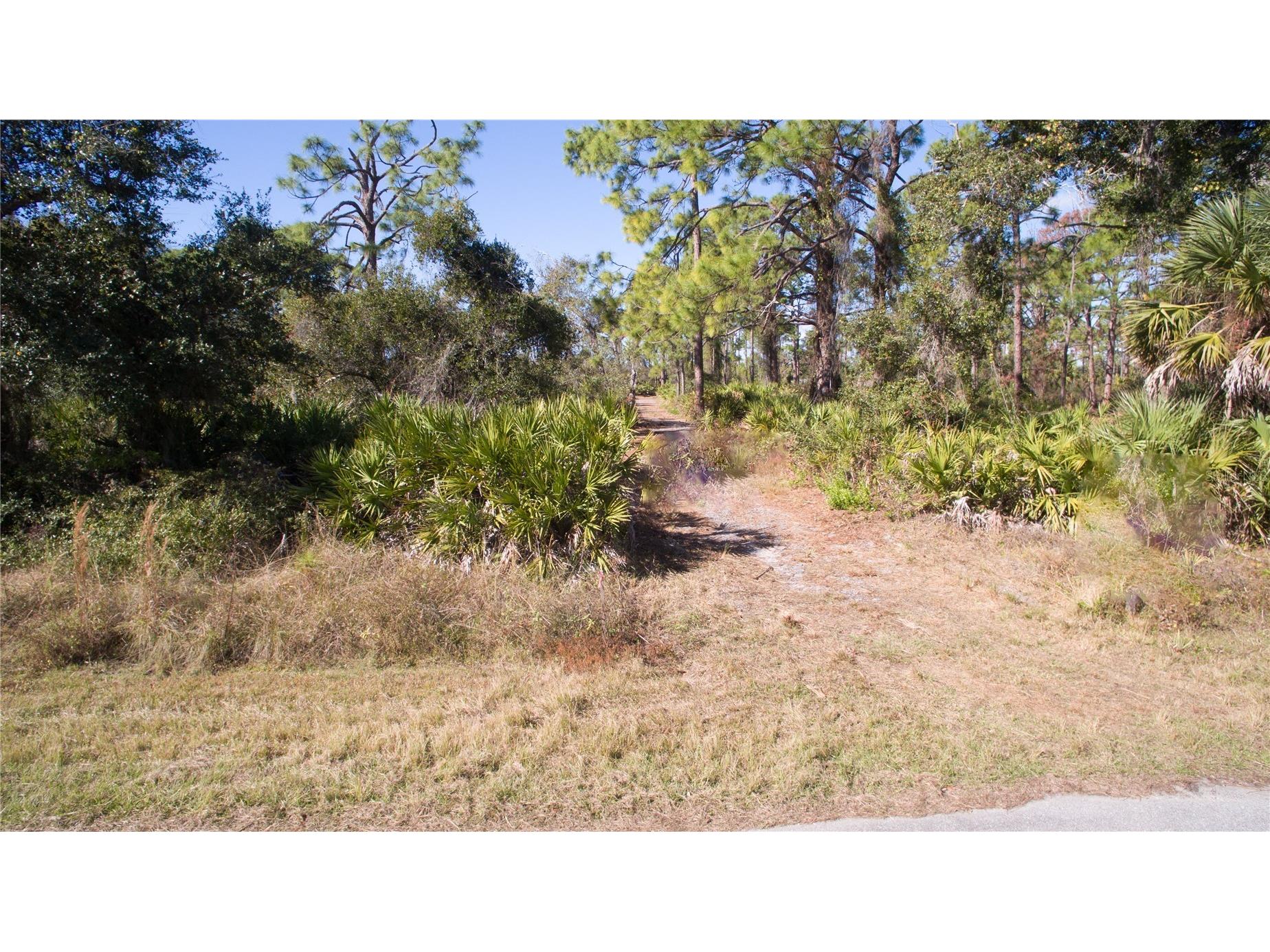 1253 Casper Street Port Charlotte FL 33953 - APOLLO WATERWAY A4676765 image9