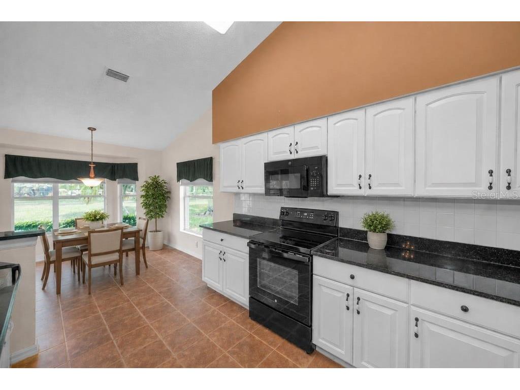 1253 Eveningside Court Trinity FL 34655 W7887139 image16