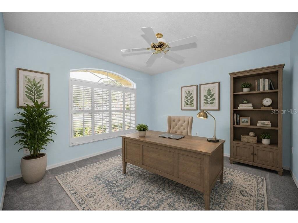 1253 Eveningside Court Trinity FL 34655 W7887139 image29