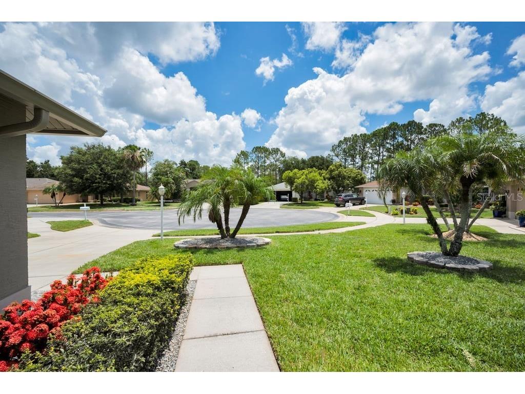 1253 Eveningside Court Trinity FL 34655 W7887139 image3