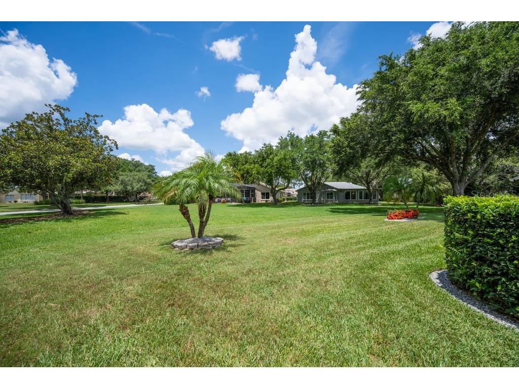 1253 Eveningside Court Trinity FL 34655 W7887139 image33