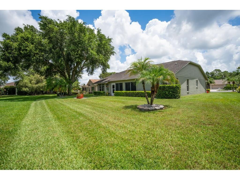 1253 Eveningside Court Trinity FL 34655 W7887139 image34