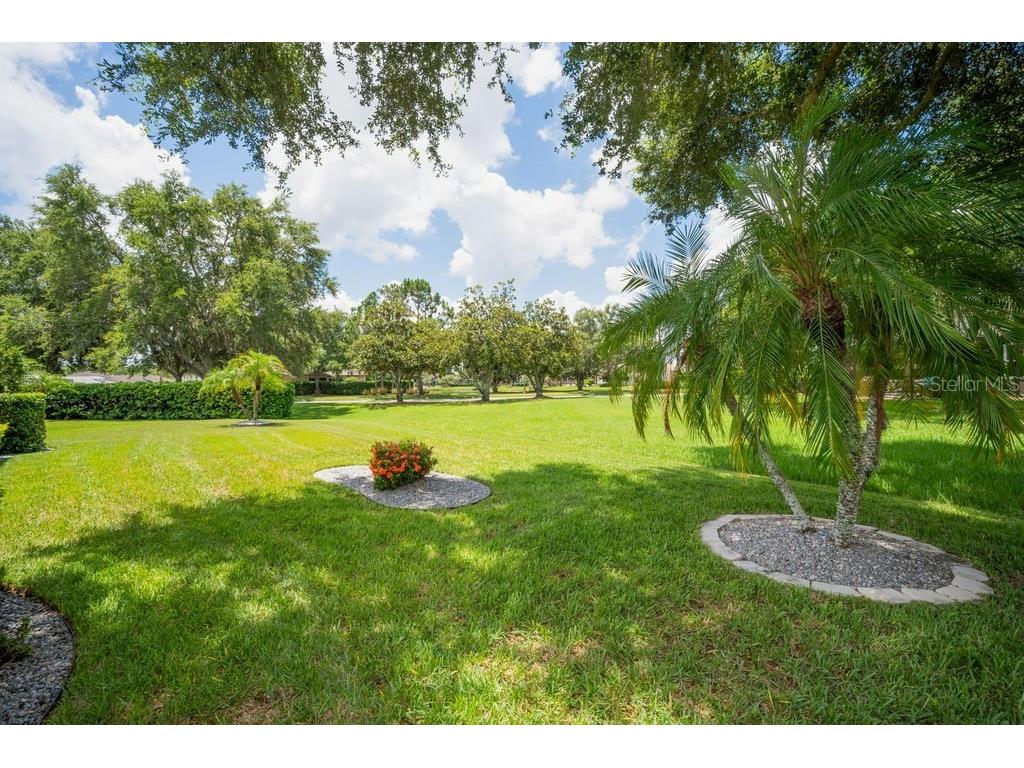 1253 Eveningside Court Trinity FL 34655 W7887139 image38