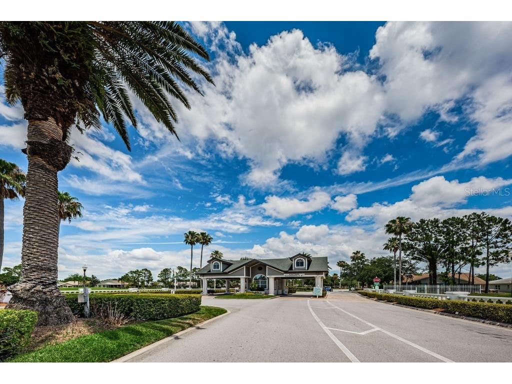 1253 Eveningside Court Trinity FL 34655 W7887139 image40