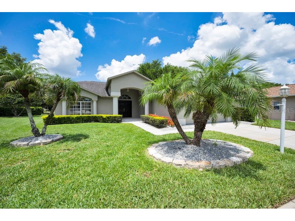 1253 Eveningside Court Trinity FL 34655 W7887139 image5