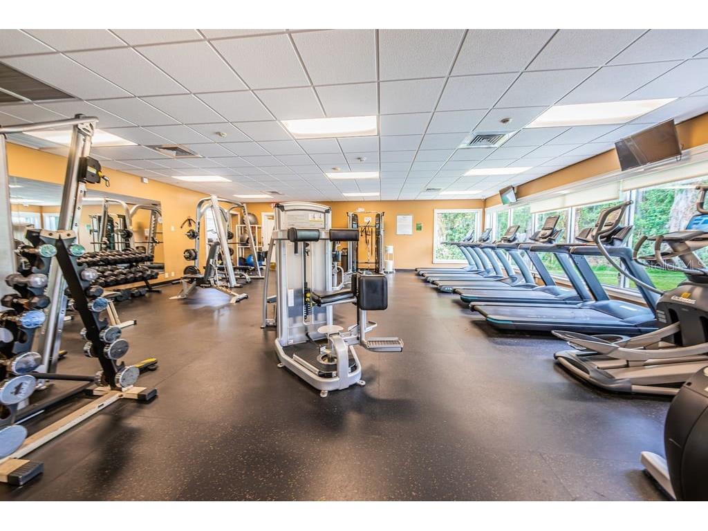 1253 Eveningside Court Trinity FL 34655 W7887139 image82