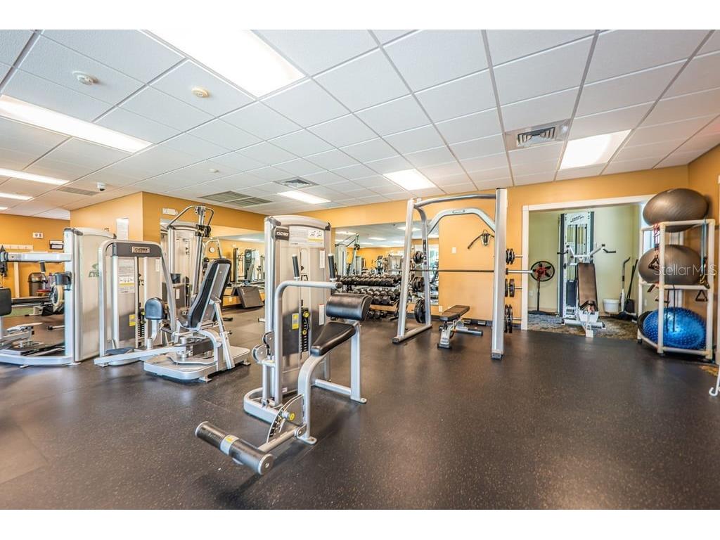 1253 Eveningside Court Trinity FL 34655 W7887139 image83