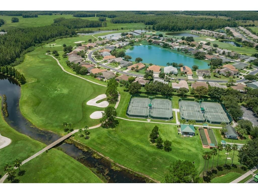 1253 Eveningside Court Trinity FL 34655 W7887139 image88