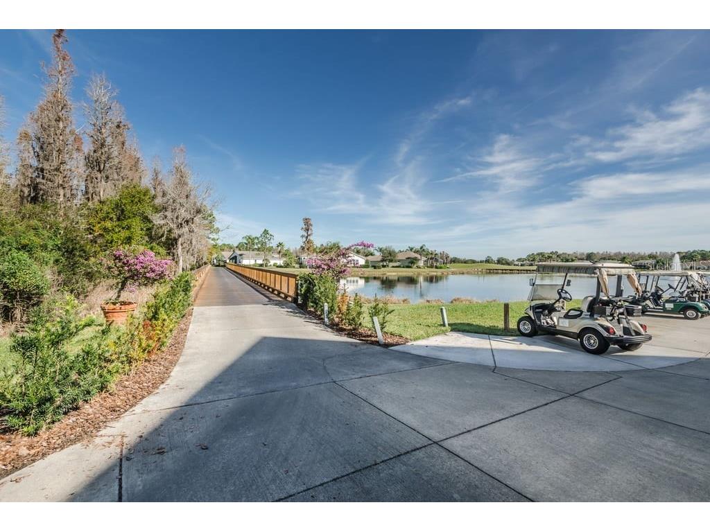 1253 Eveningside Court Trinity FL 34655 W7887139 image95