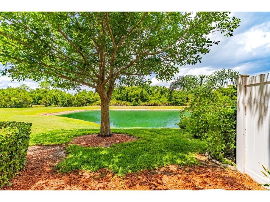 1253 Honey Blossom Drive Orlando FL 32824 O6408735 image7