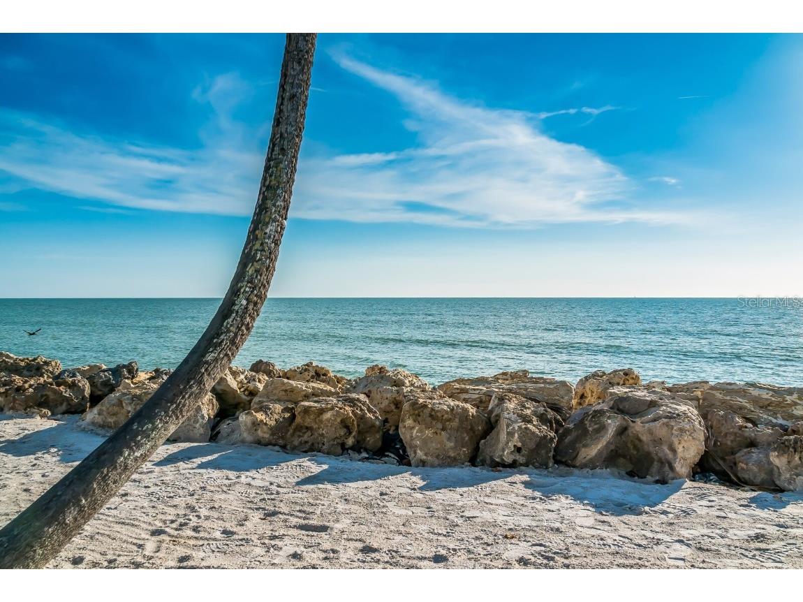 1253 N Basin Lane Sarasota FL 34242 - SARASOTA BAY A4668457 image65