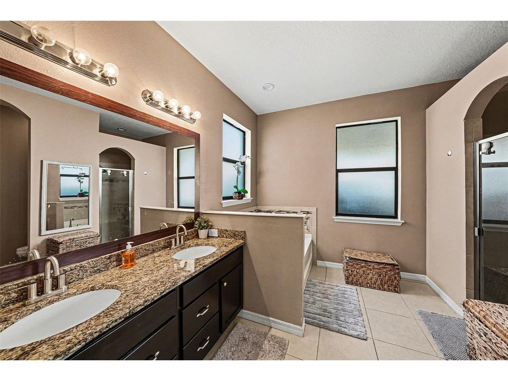 12530 Ballentrae Forest Drive Riverview FL 33579 TB8472942 image14