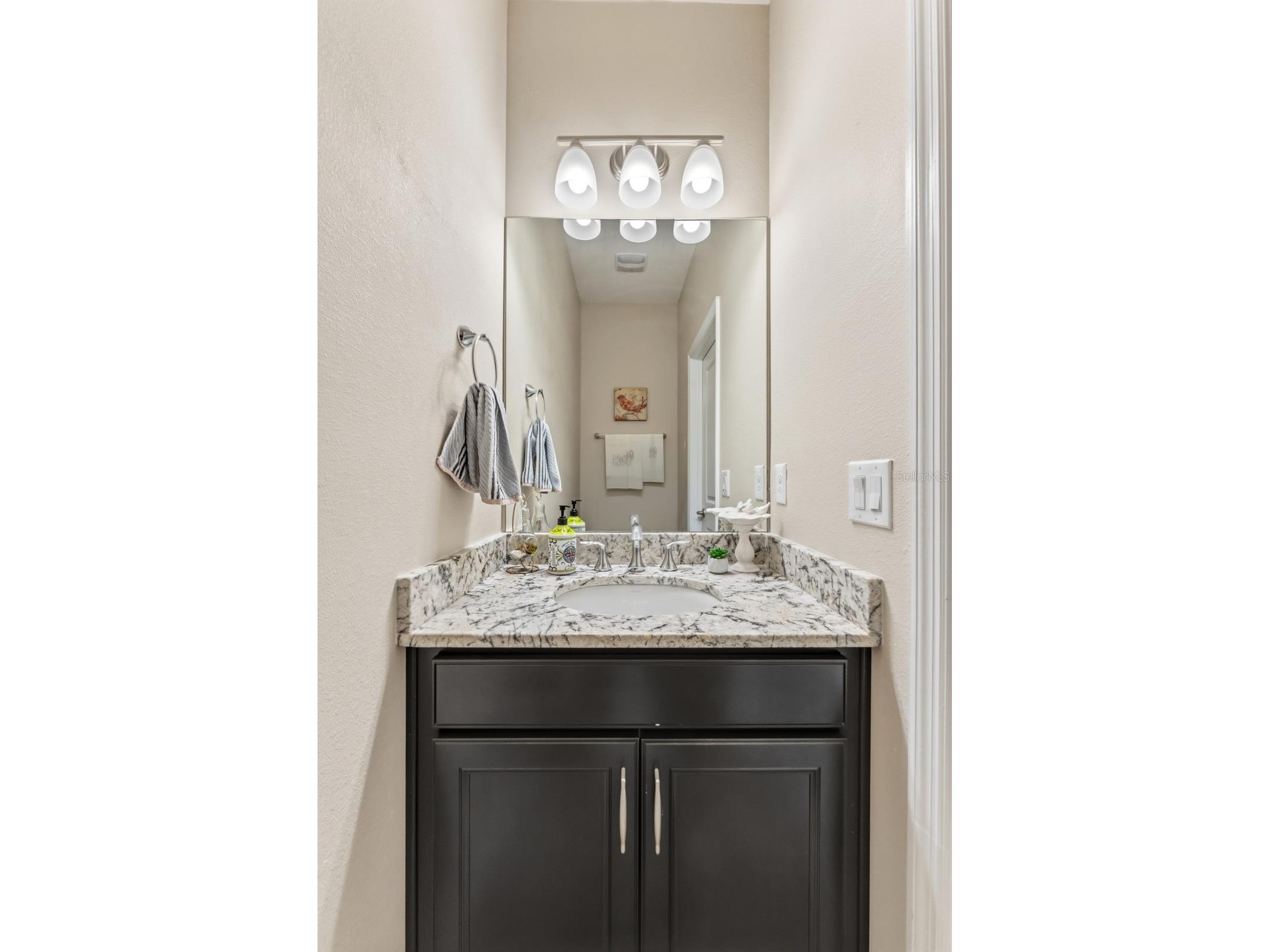 12530 Candleberry Circle Tampa FL 33635 TB8528044 image12