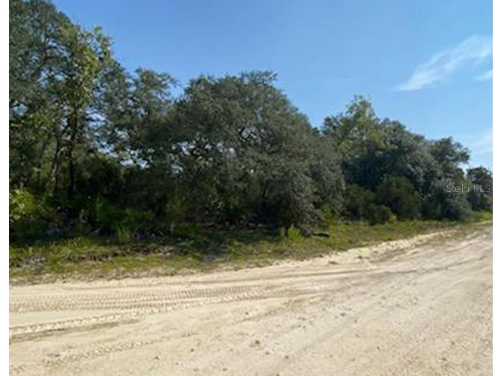 12531 NE 80th Street Bronson FL 32621 OM644772 image1