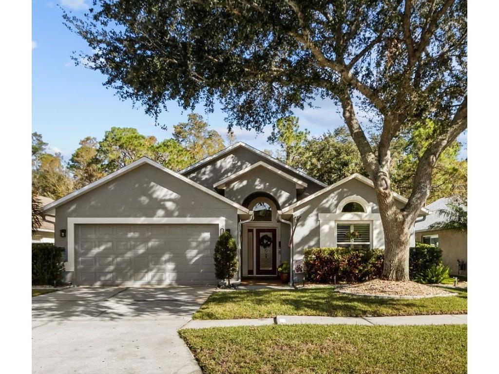 12531 Sparkleberry Road Tampa FL 33626 TB8315707 image1