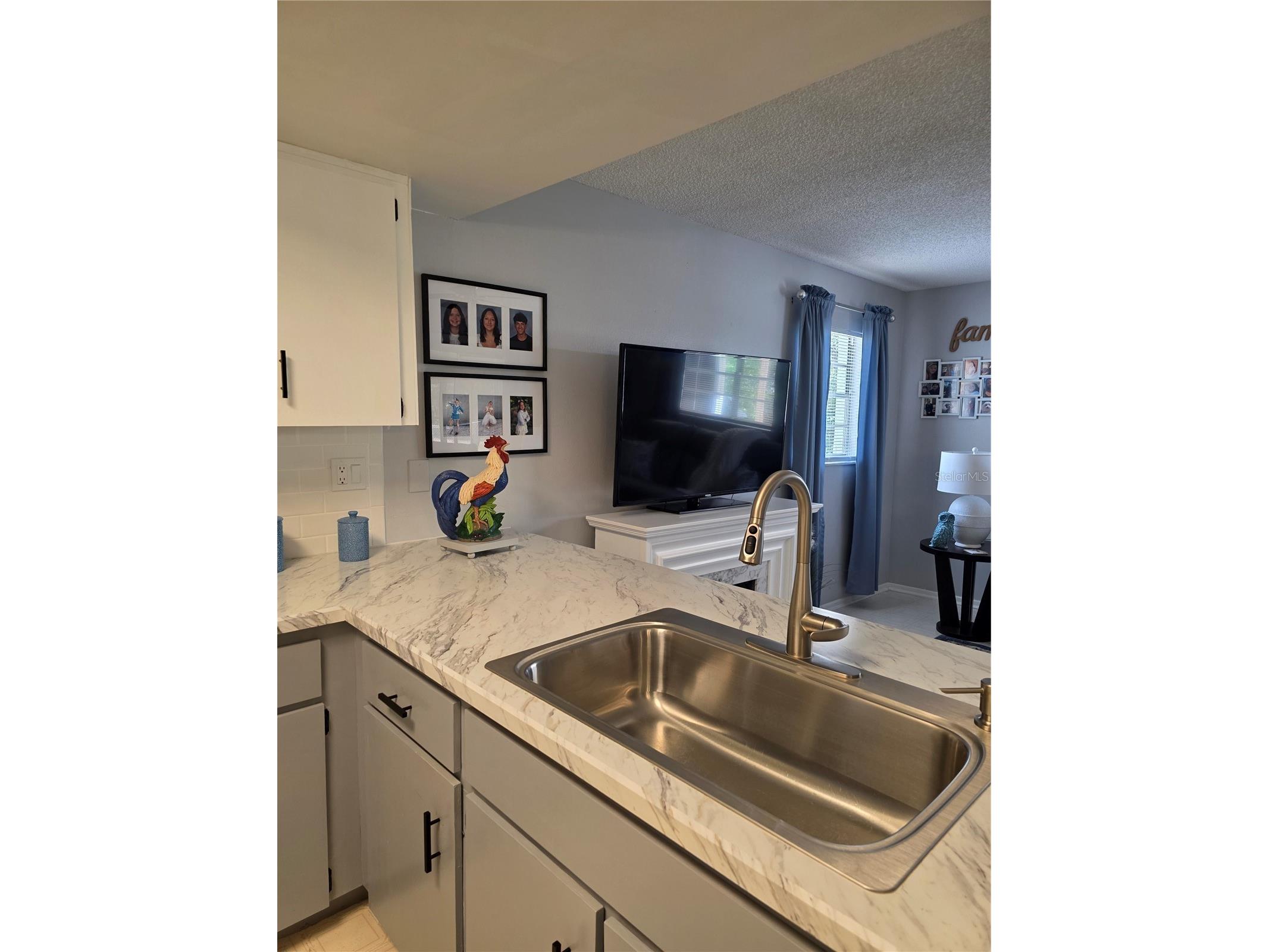 12532 Coronado Drive Spring Hill FL 34609 TB8501495 image10