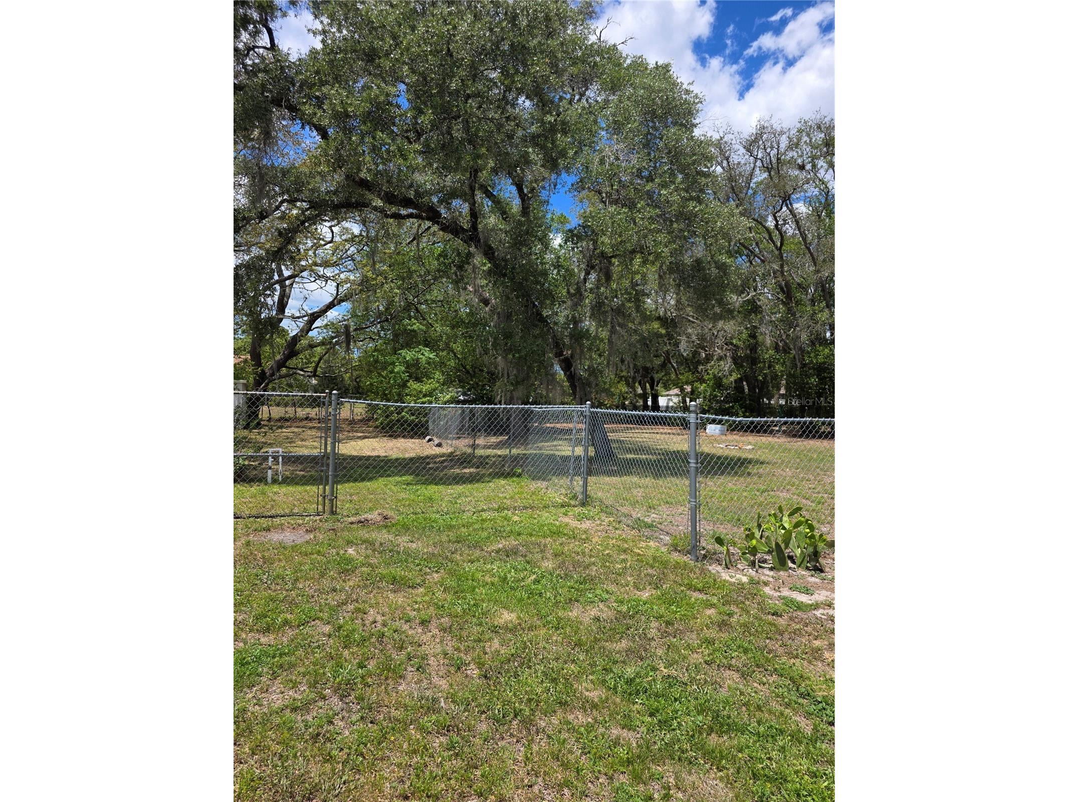 12532 Coronado Drive Spring Hill FL 34609 TB8501495 image28