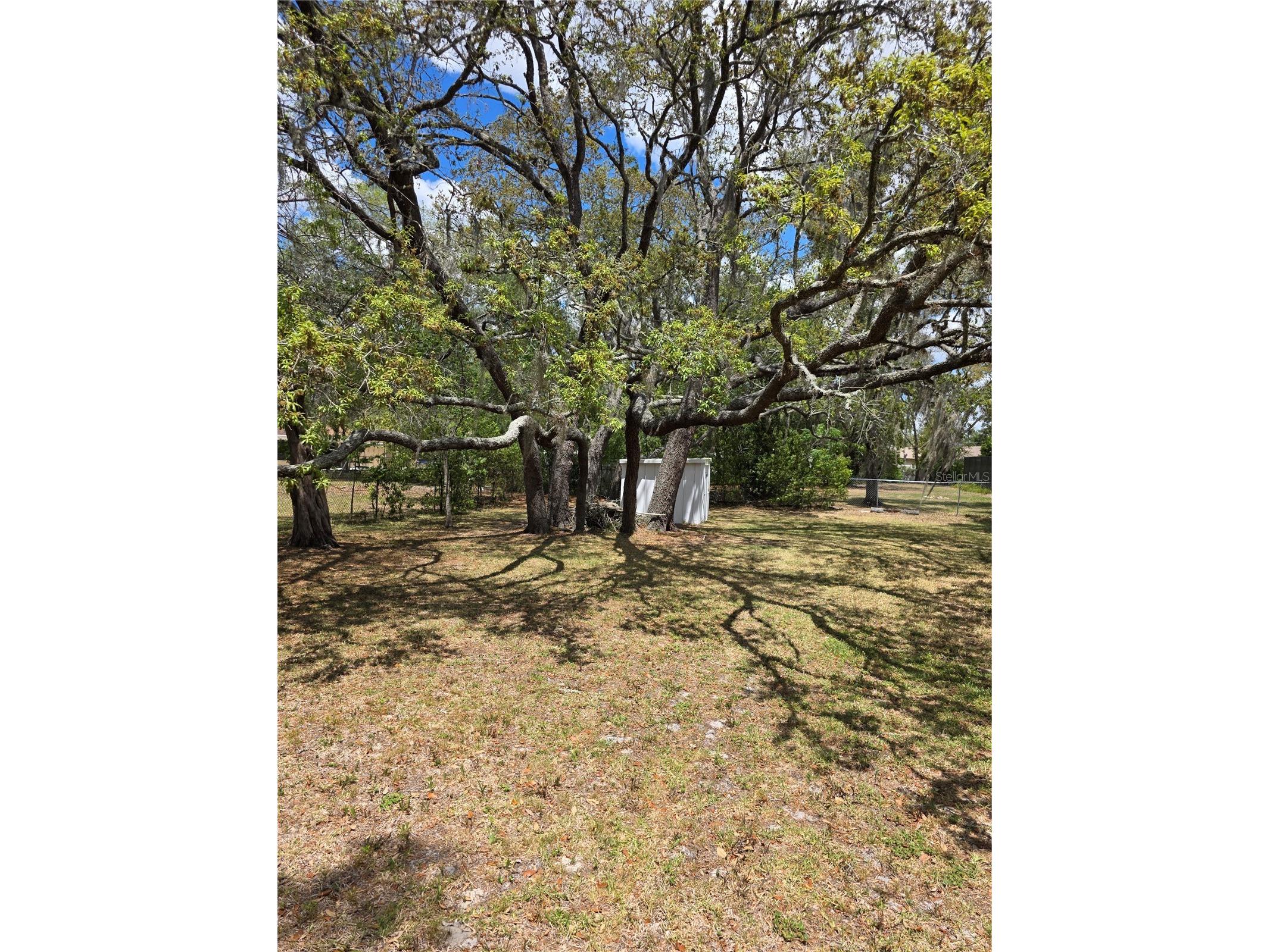 12532 Coronado Drive Spring Hill FL 34609 TB8501495 image29