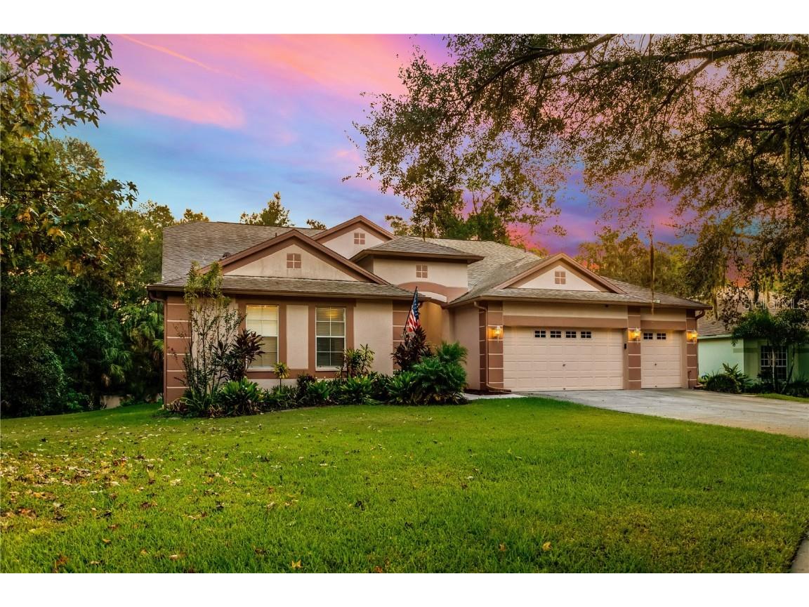 12532 River Birch Drive Riverview FL 33569 T3474179 image1