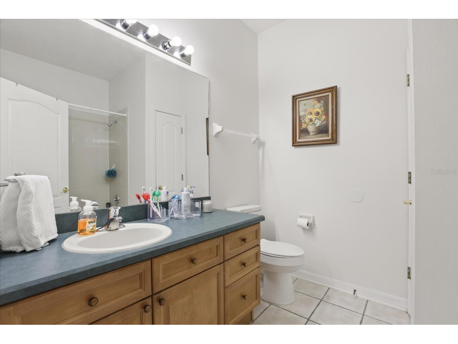 12533 Cragside Lane Windermere FL 34786 O6405628 image19