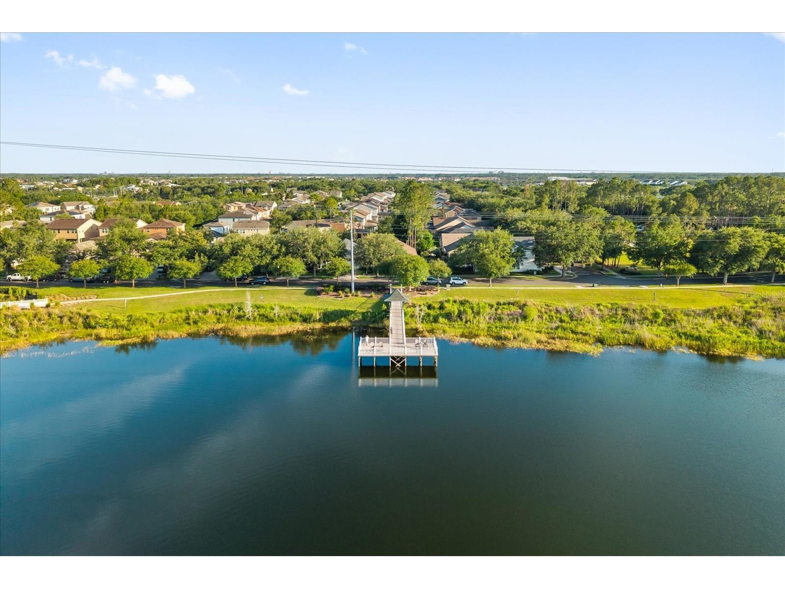 12533 Cragside Lane Windermere FL 34786 O6405628 image31