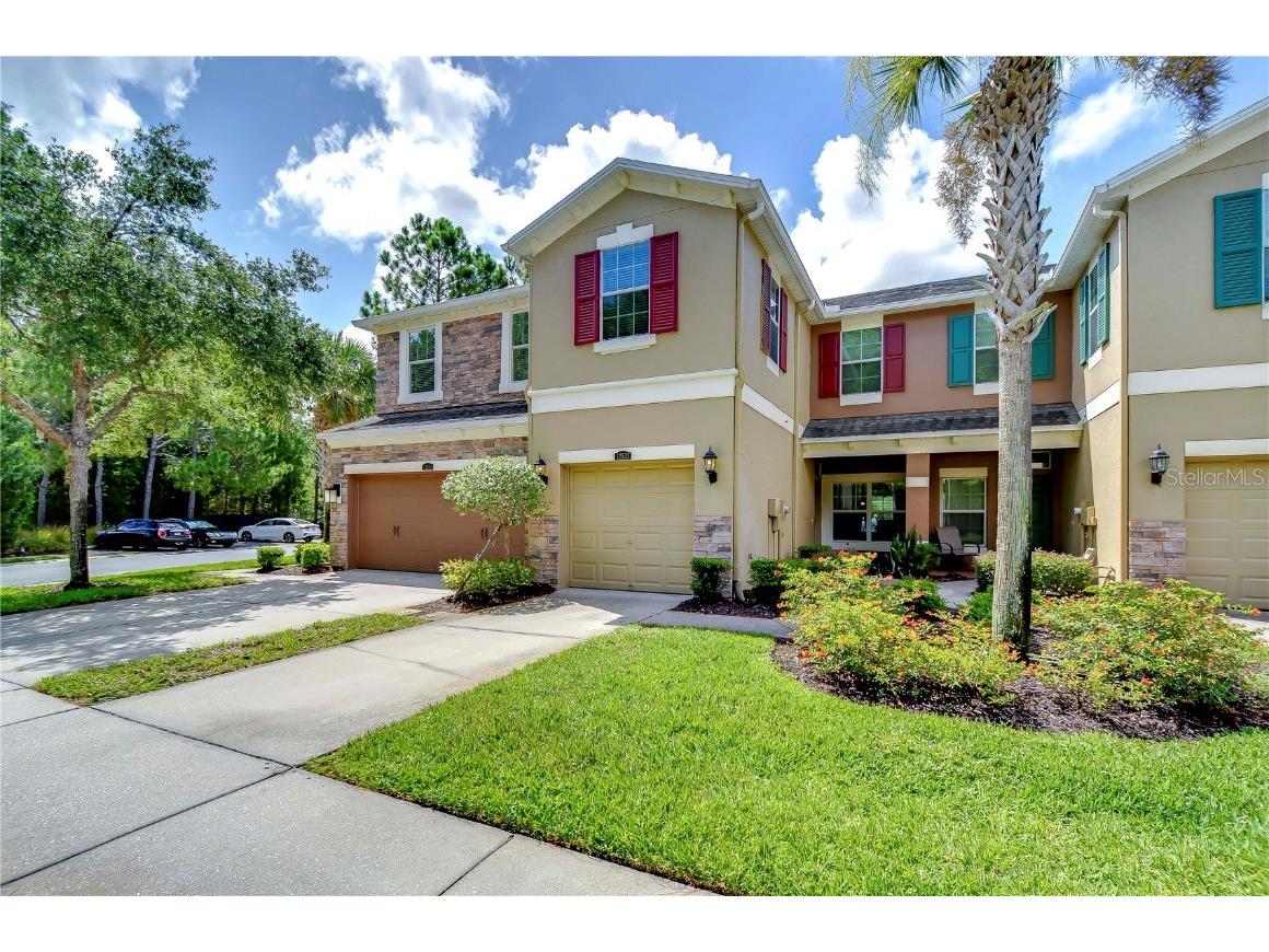 12533 Streamdale Drive Tampa FL 33626 T3535831 image1