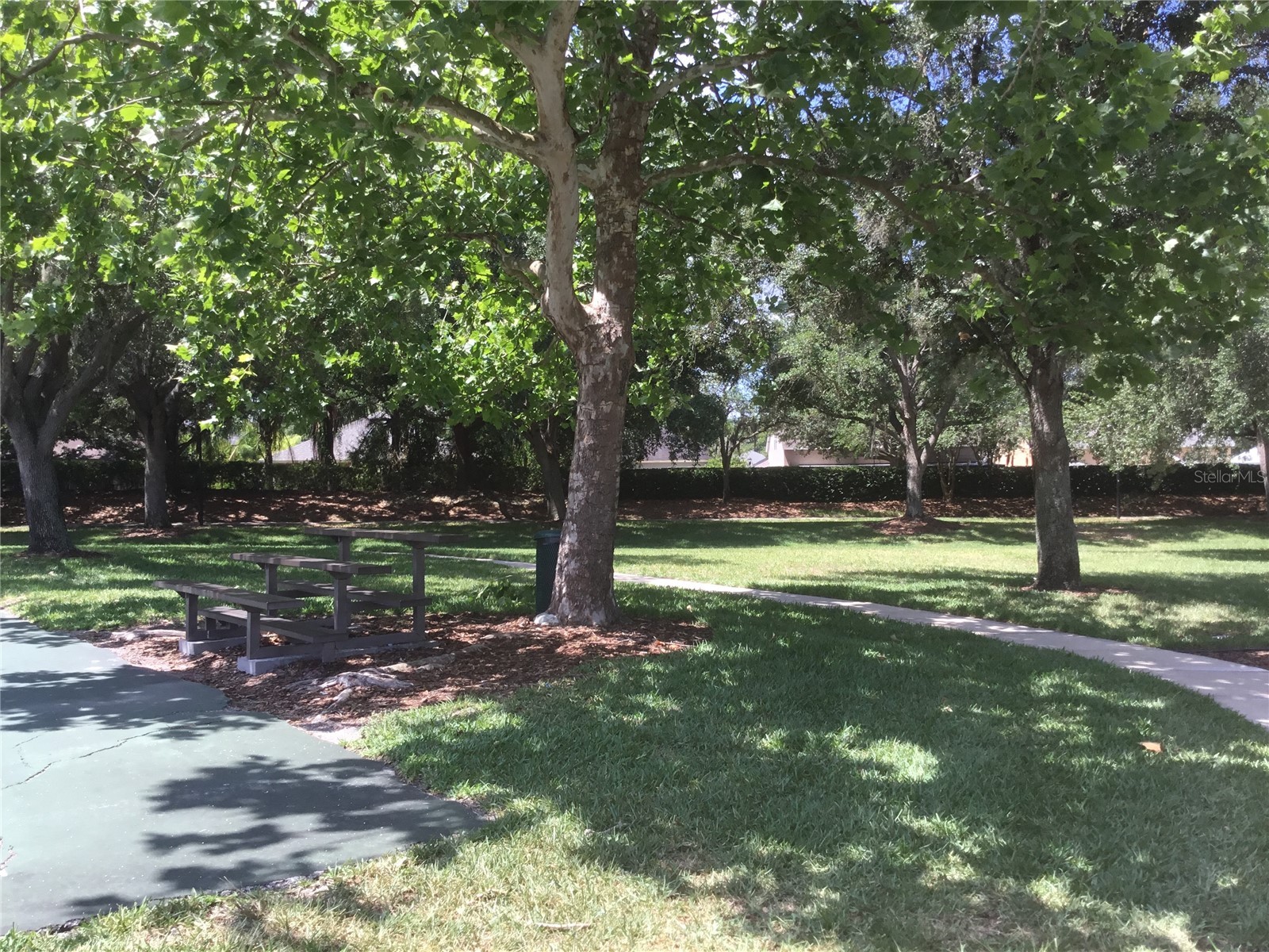 12534 Evington Point Drive Riverview FL 33579 A4693533 image30