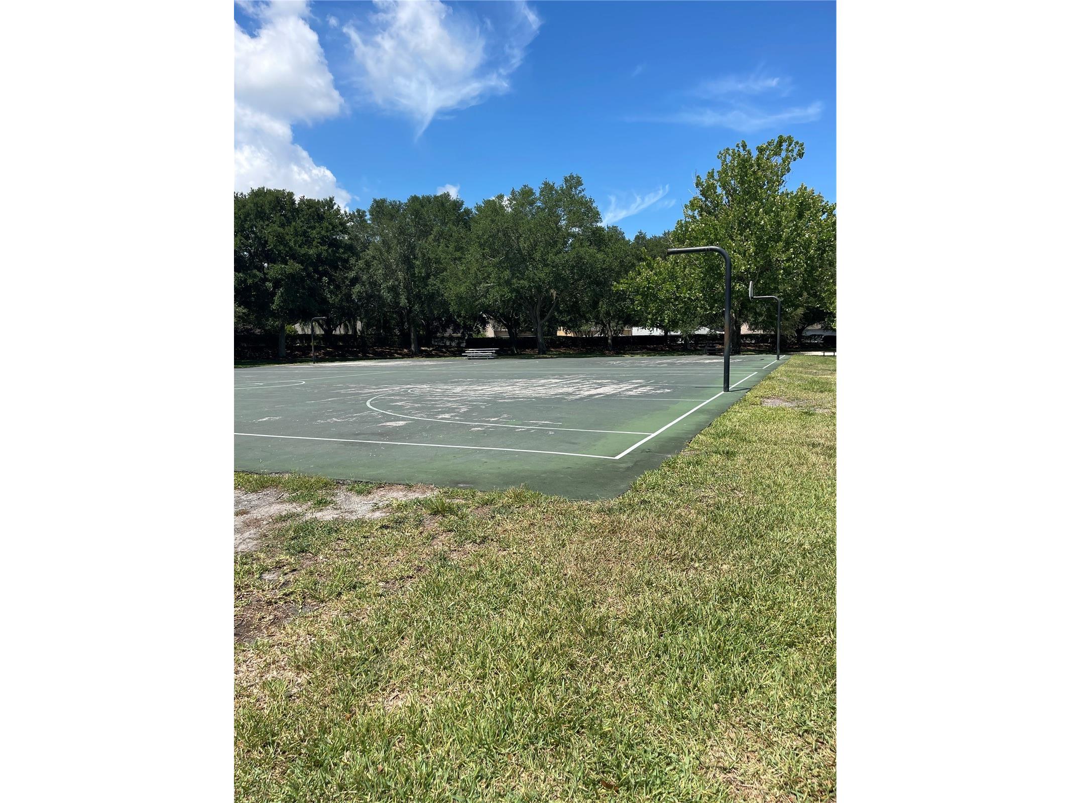 12534 Evington Point Drive Riverview FL 33579 A4693533 image33