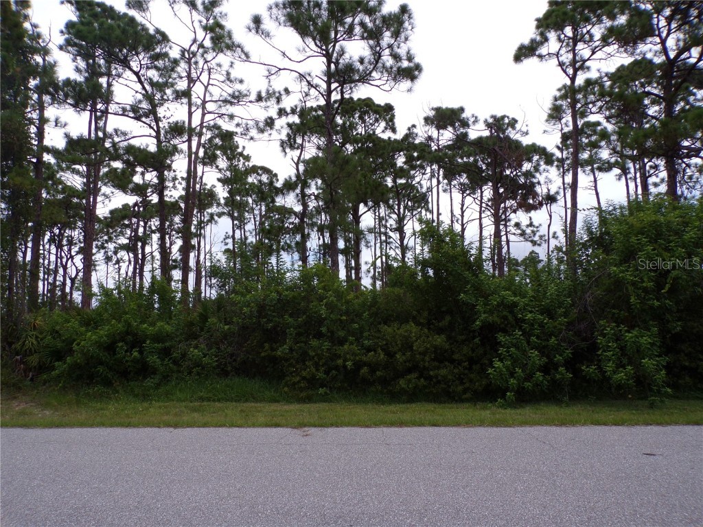 12534 Steen Terrace Port Charlotte FL 33981 C7478801 image1