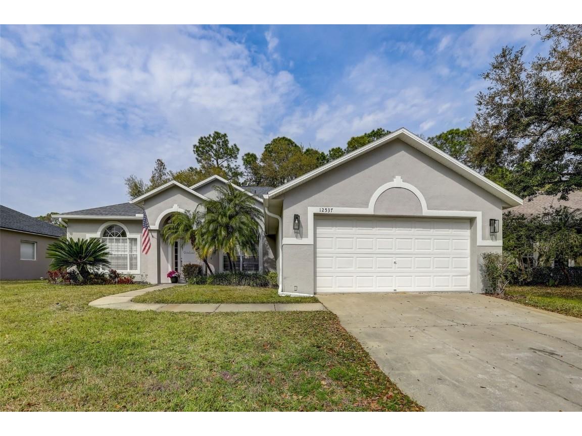 12537 Leatherleaf Drive Tampa FL 33626 T3509012 image1