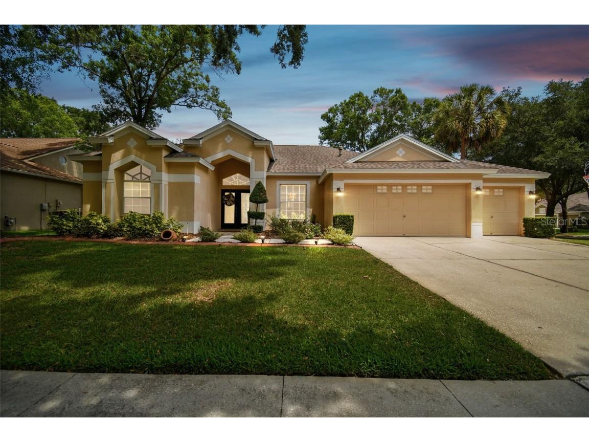12537 River Birch Drive Riverview FL 33569 T3445586 image1