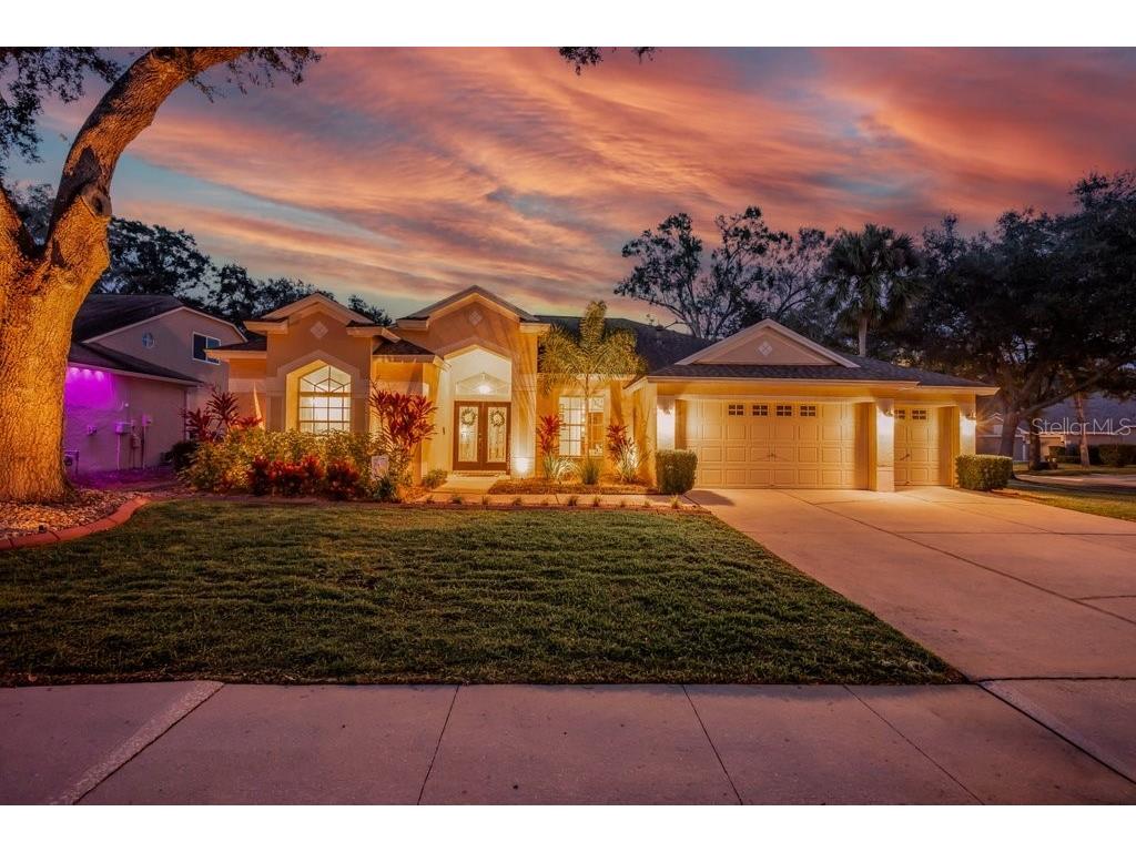 12537 River Birch Drive Riverview FL 33569 TB8466521 image1