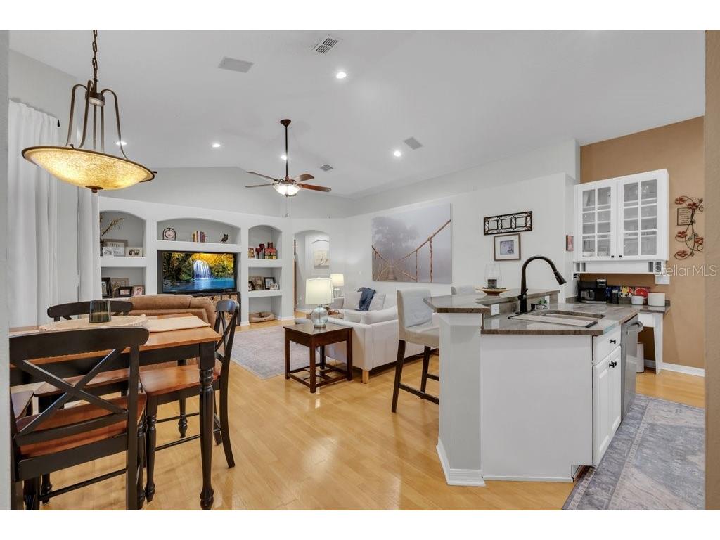 12537 River Birch Drive Riverview FL 33569 TB8466521 image10