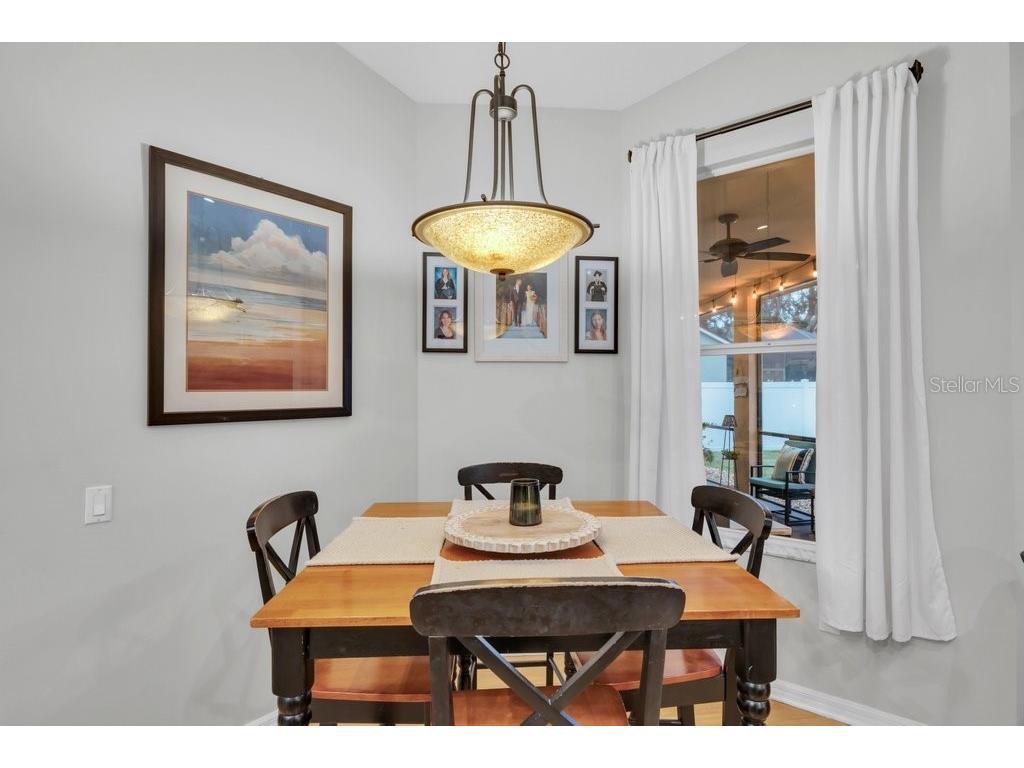 12537 River Birch Drive Riverview FL 33569 TB8466521 image11