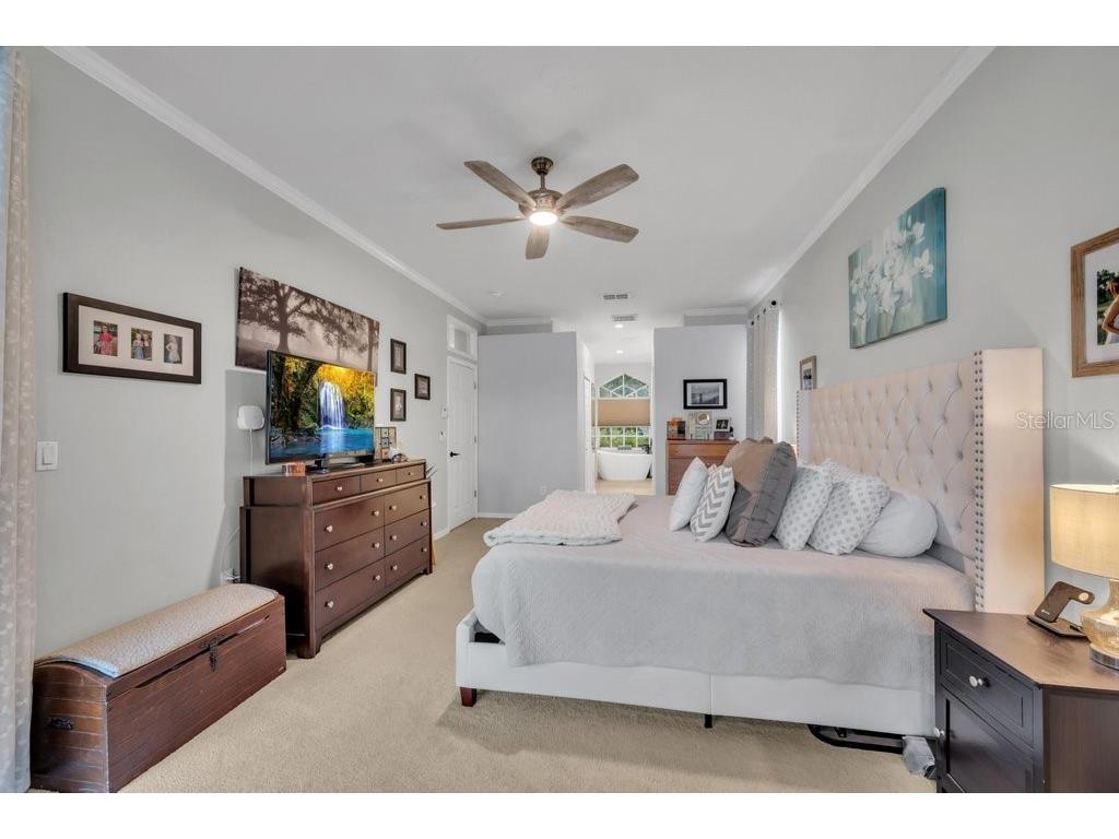 12537 River Birch Drive Riverview FL 33569 TB8466521 image22