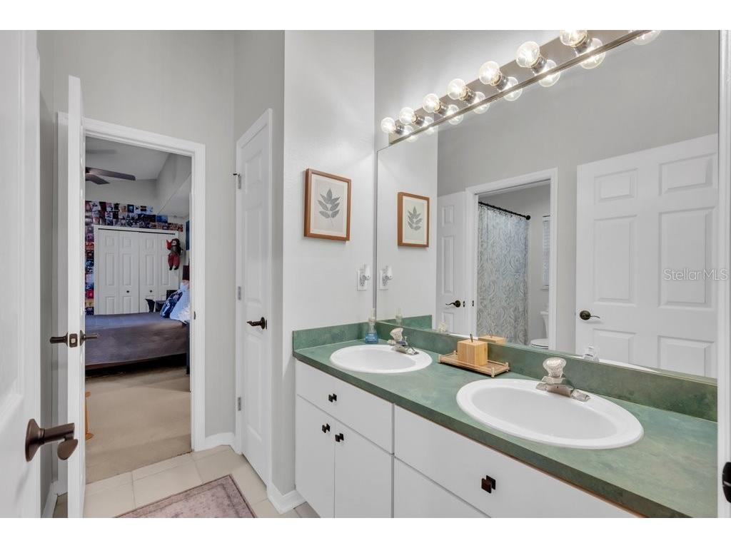 12537 River Birch Drive Riverview FL 33569 TB8466521 image28