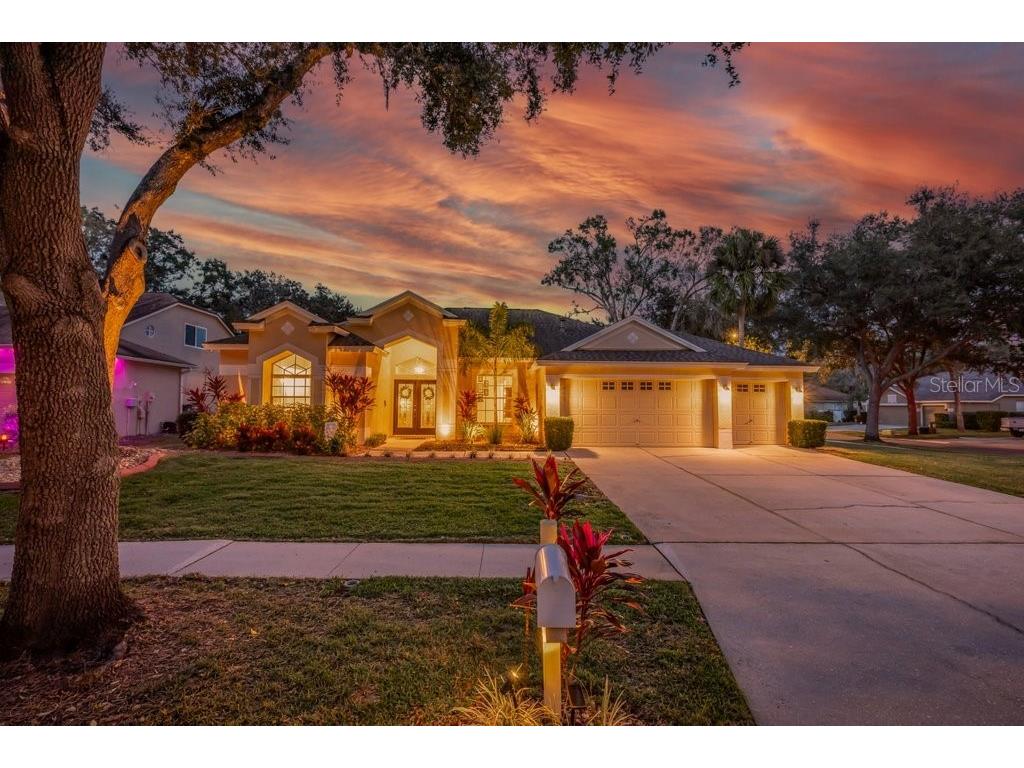 12537 River Birch Drive Riverview FL 33569 TB8466521 image37