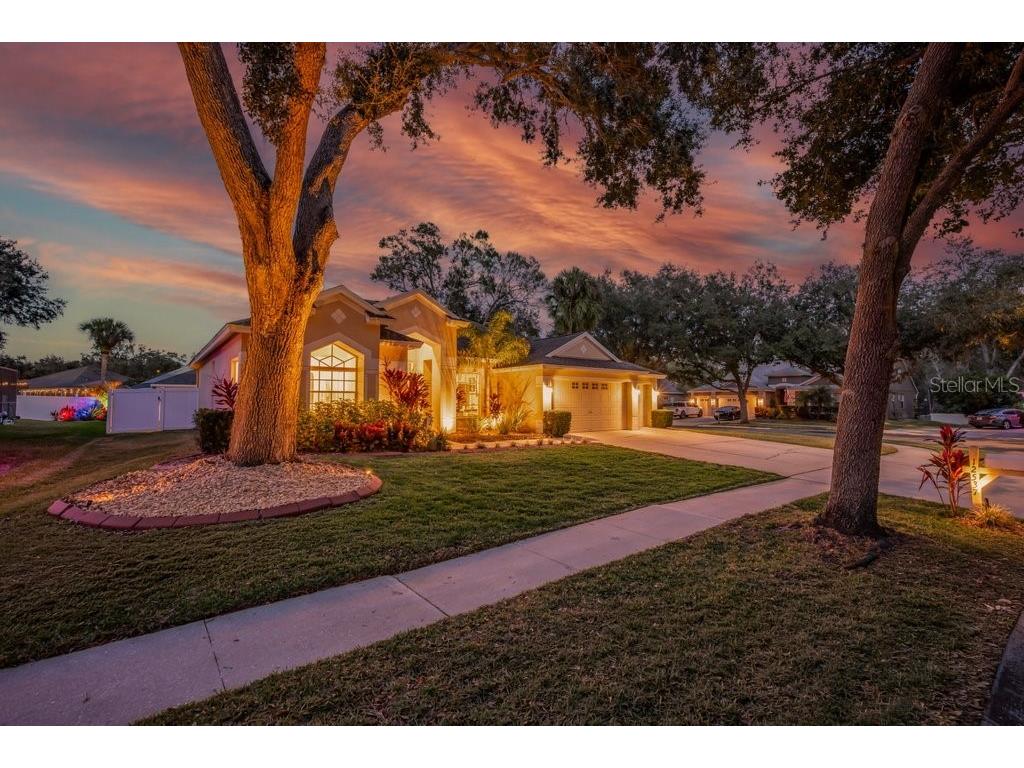 12537 River Birch Drive Riverview FL 33569 TB8466521 image38